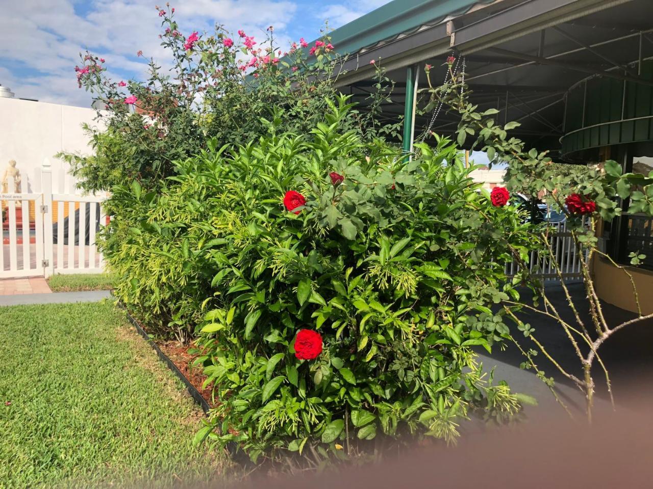 Bali Hai Motel Fort Lauderdale Bagian luar foto